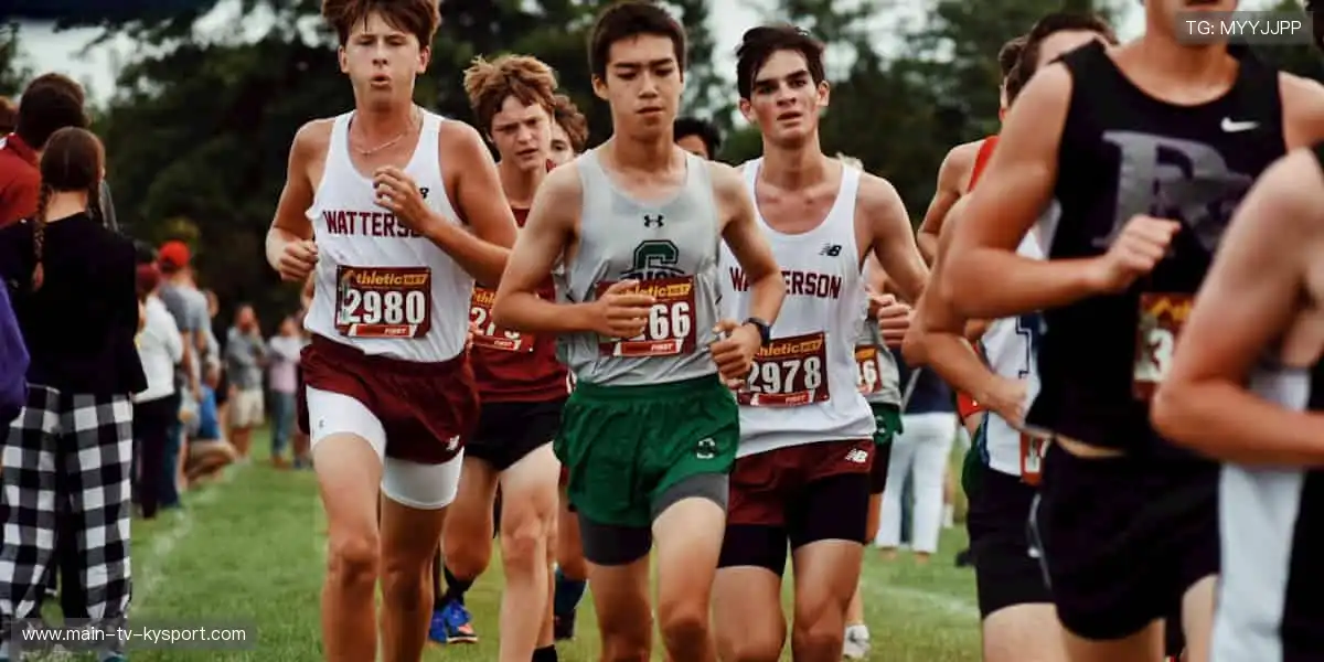 🔥热血赛事，激情点燃！🏀